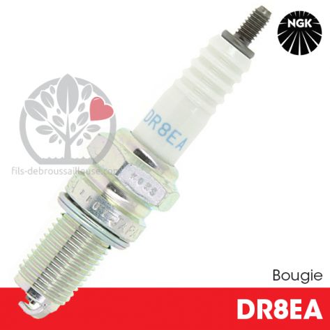 Bougie NGK DR8EA pour la motoculture