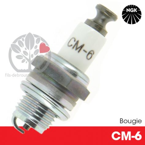 Bougie NGK CM6 pour la motoculture