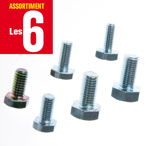 Assortiment des 6 vis pour t&ecirc;te de d&eacute;broussailleuse