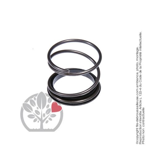 Kit bague + ressort pour t&ecirc;te d&eacute;broussailleuse Tecomec Easy Work