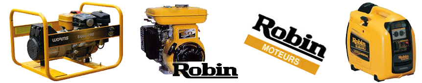 Robin